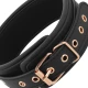 Colier tip choker din piele vegan, cu prinderi pentru mameloane