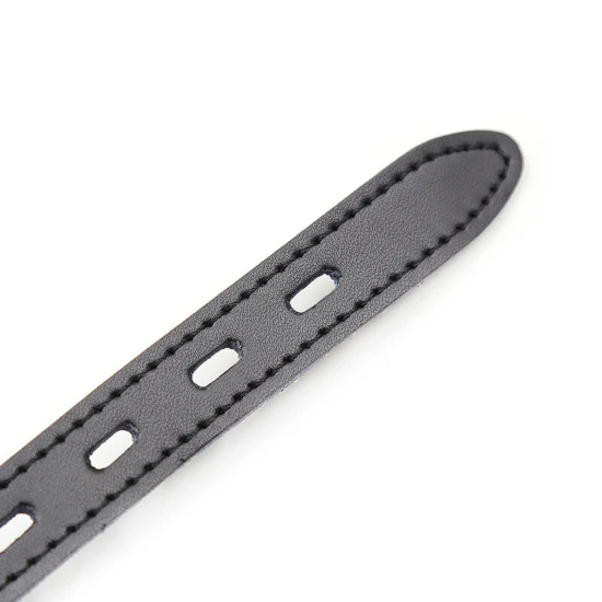 Set gag din silicon cu curea din piele, cu lacăt inclus