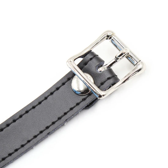 Set gag din silicon cu curea din piele, cu lacăt inclus