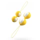 Set bile antrenament BFIT Classic, Dorado
