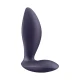 Plug anal, Purple