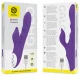 Vibrator Galo - Control de la Distanță, Violet, Mărime Unică
