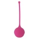 INTENSE - KISHA Fit One, Kegel din silicon, Roz
