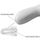 Vibrator Tip Iepure, Argintiu