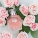 Parfum Pheromone Deluxe, 50 ml, One Love