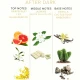 Parfum cu feromoni Tip Produs EOL, 10 ml - After Dark