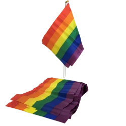 Steag LGBT Mic, Banner, Roz/Curcubeu