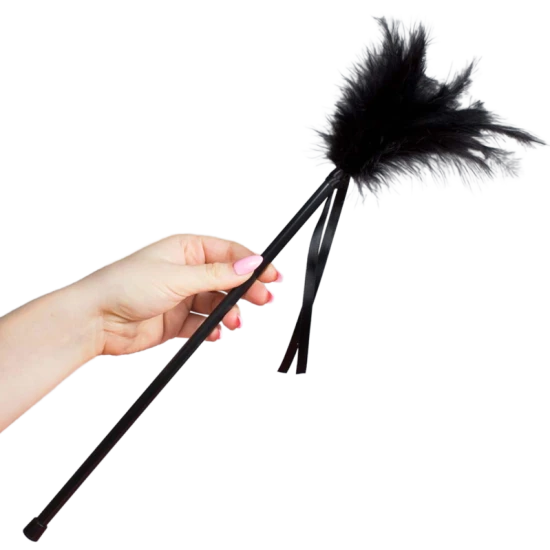 Tip Produs Model, Pene negre, 40 cm