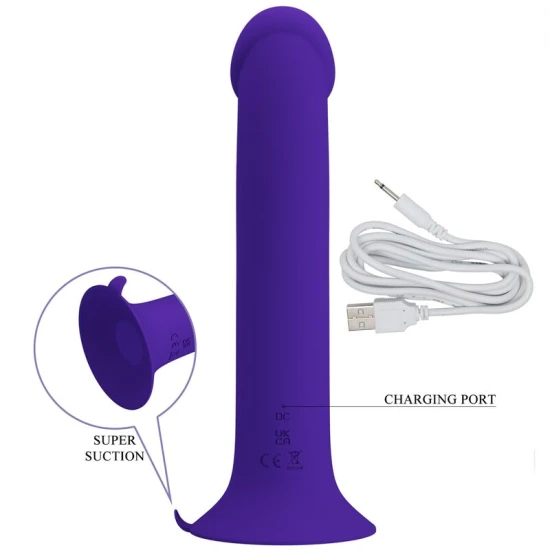 DILDO VIBRANT REÎNCĂRCABIL, Violet