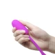 Oua Vibratoare, Violet