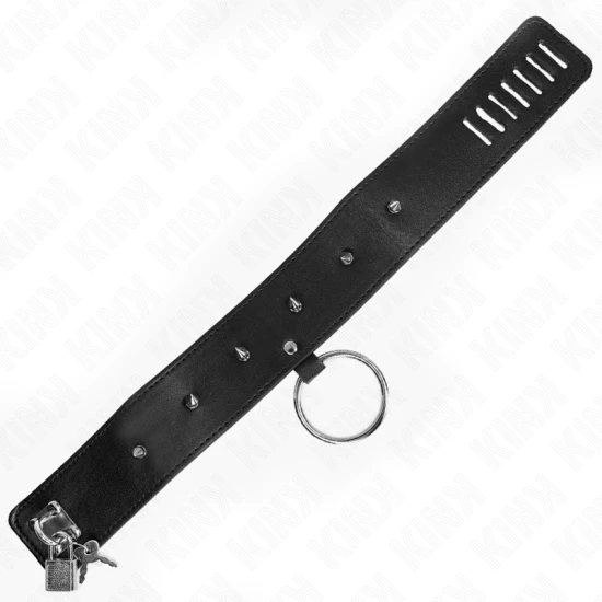 Colier cu lesă 65 cm, cu elemente argintii, Model 2, reglabil 36-43 cm x 5 cm