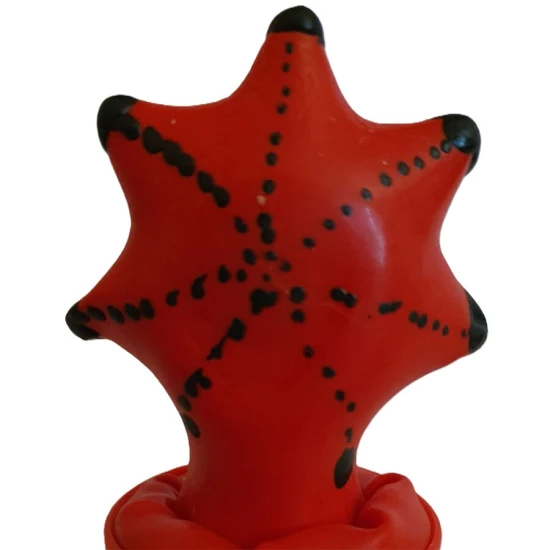 Contraceptive decorative, pictate manual, model stea de mare