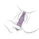 Vibrator iepure, Violet