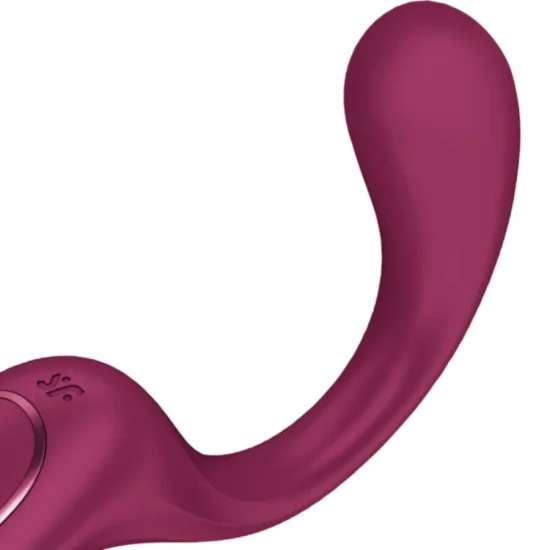 Vibrator tip iepure, Bordeaux