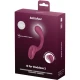 Vibrator tip iepure, Bordeaux