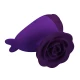 Mini vibrator cu clip, Dolphin, Violet