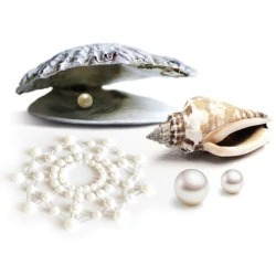 BIJOUX - Set Tip Produs, Lila, Auriu