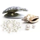 BIJOUX - Set Tip Produs, Lila, Auriu