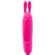 Flirtation Boyce stimulator, Roz liliachiu