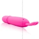 Flirtation Boyce stimulator, Roz liliachiu