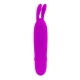 Flirtation Boyce stimulator, Roz liliachiu