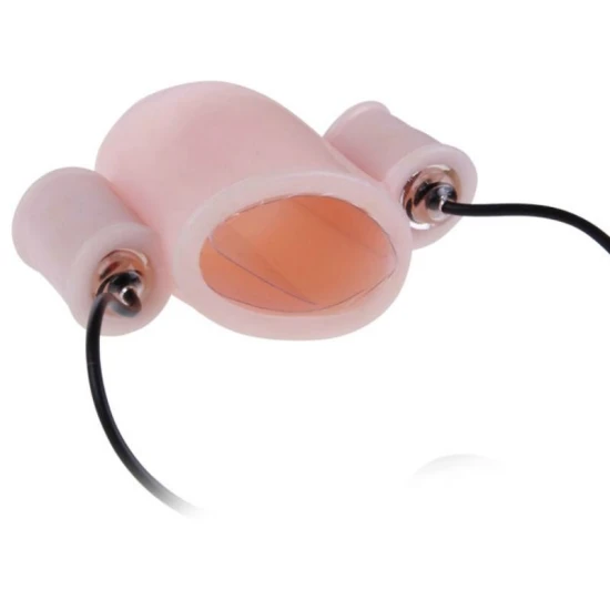 Vibrator Alfred Penis Vibrator, huse WITH CONTROL