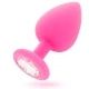 INTENSE - Plug anal, Roz