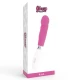 VIBRATOR PAUL, Roz