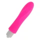 Vibrator Glonț, Silicon
