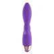 Vibrator siliconic reîncărcabil, Roz Mov și auriu
