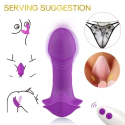 Vibrator pentru chiloți cu telecomandă, mov, control remote