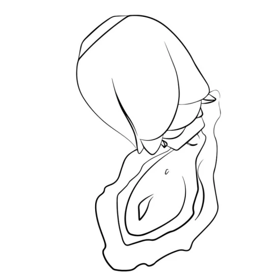 Vibrator clitoral cu aspirație Rose Glow, silicon, roz, universal