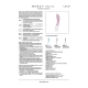 Vibrator G-spot din silicon, lavandă, controlat prin aplicație